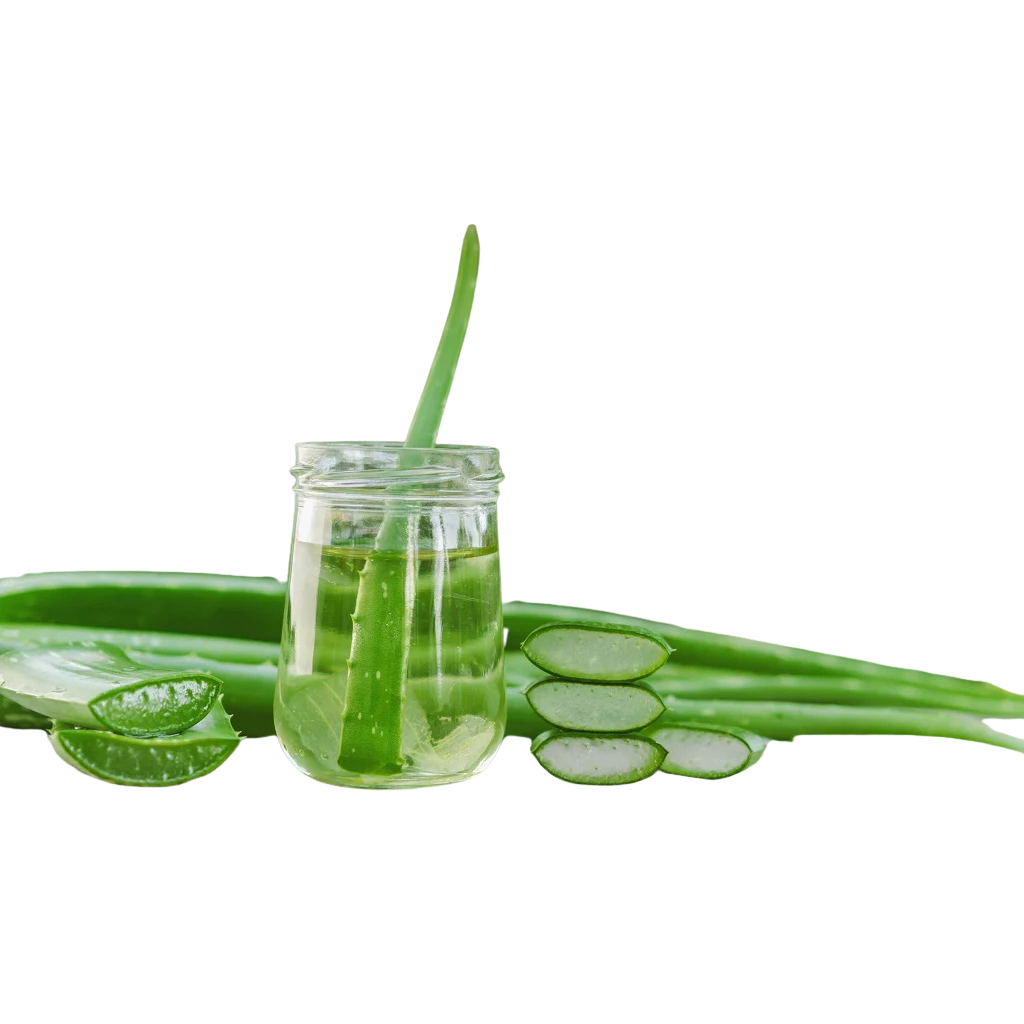 Aloe Vera 1 lb buy online USA - 1